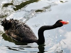 -上海动物园(地铁站)