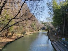 -同里国家湿地公园