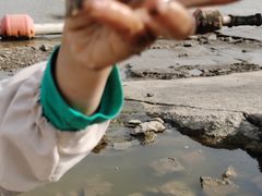 -徒骇河公园