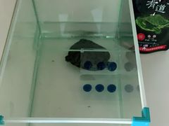 -华声天桥民俗文化园