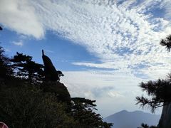 -黄山风景区