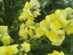 -厦门园林博览苑