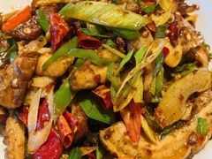 -柴窝堡22号辣子鸡·传承新疆菜