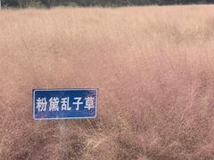 -嘉北郊野公园