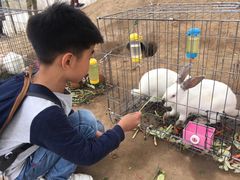 -前小桔亲子创意农场·草莓采摘·露营烧烤