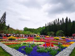 -深圳仙湖植物园