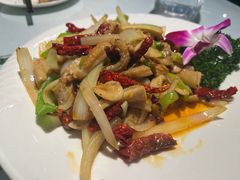 -新疆兵团食府清真(马连道店)