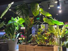 -懒人盐府人家(航天桥店)