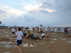 -碧海金沙