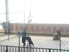-东方熊牧场