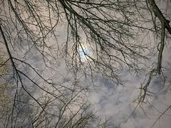 -曲阜师范大学(曲阜校区)
