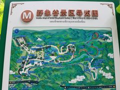 -野象谷景区