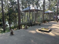 -千岛湖东南湖区