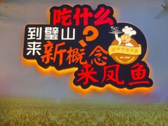 -新概念来凤鱼(璧山店)