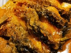 -阿五黄河大鲤鱼(纬三路店)