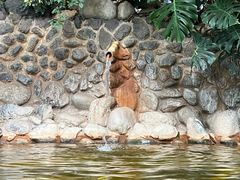 -湖泉半山温泉