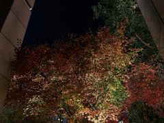 -浅深(世茂滨江精品店)
