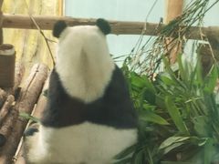 -青藏高原野生动物园