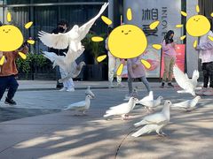 -中粮·祥云小镇