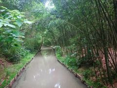 -同里国家湿地公园
