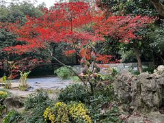 -杭州植物园