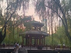-西安市长乐公园