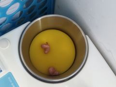 -自然之声助听器·呼吸机(公园路店)