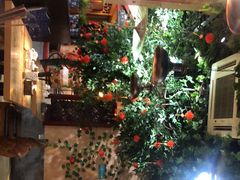 -左陕右甘(亚运村店)