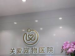 -关爱宠物医院·猫科中心·消化科(滨湖万达分院)