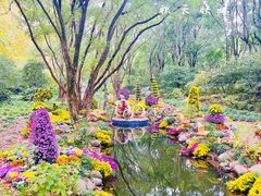 -上海共青森林公园