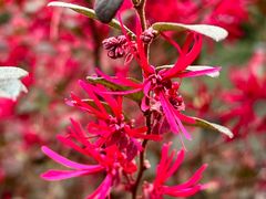 -白云山风景名胜区