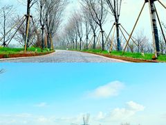 -武汉紫薇都市田园