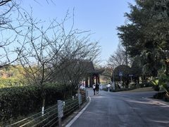 -重庆园博园