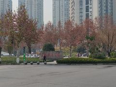 -龙头寺公园