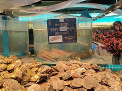 -一方渔歌蒸汽海鲜自助(文化路万达广场店)