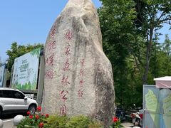 -合肥滨湖国家森林公园
