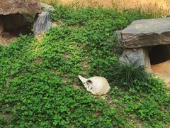 -杭州少年儿童公园