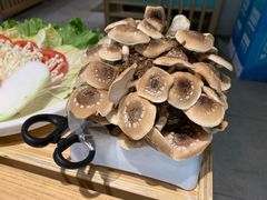 有机松香菇-鲜货俚鲜火锅(青果路店)