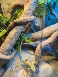 -酷嗒动物文化乐园(cutezoo西溪乐天城店)