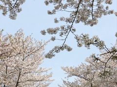-上海辰山植物园