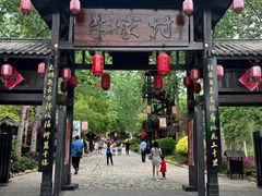 -合肥滨湖国家森林公园