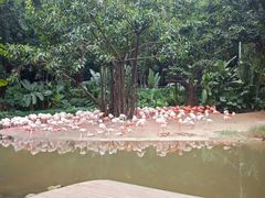 -鄂尔多斯野生动物园