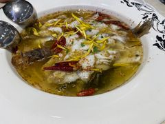 -畅润江小鱼·老坛子酸菜鱼(富弘广场店)