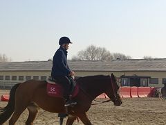 -北京群众马术培训基地