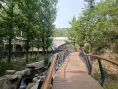 -白水寺森林公园