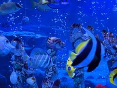 -太平洋海底世界