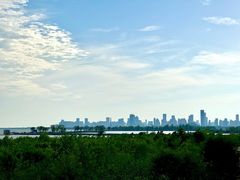 -合肥滨湖国家森林公园