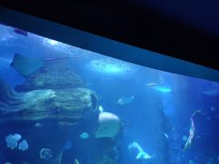 -多彩贵州城极地海洋世界