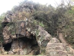 -树山生态村