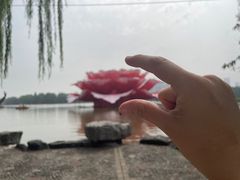 -洛阳市隋唐城遗址植物园